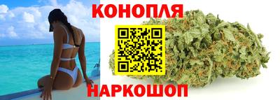 гидра Гай