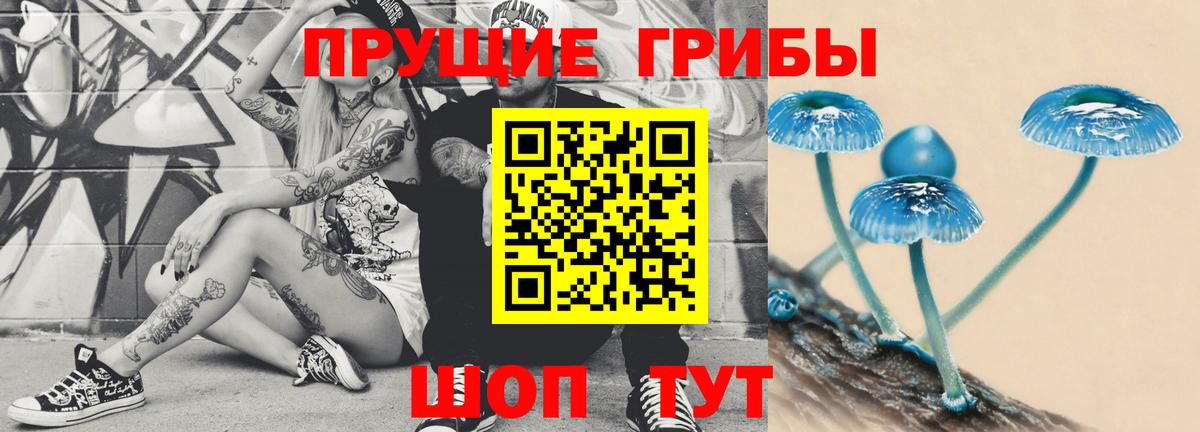 Пенза  Псилоцибиновые грибы Magic Shrooms  Вход с VPN 